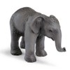 Schleich - Indian Elephant Calf