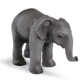 Schleich - Indian Elephant Calf