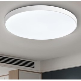 THE BATH PLUS TB+ LED Ceiling Light Fixture 6000K Cool White Round Flush Mount Ceiling Light White 25cm