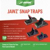 JT Eaton 409 Jawz Indoor Plastic Mouse Trap for Solid