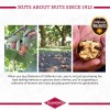 Diamond Walnuts Salted Snack Healthy Protein Superfood Non GMO 1