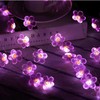 HDNICEZM Flower String Lights，Fairy Pink Cherry Blossom String Lights 21ft