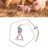 Pet Pig Vest Harness with Leash Set EscapeProof Walking Harness