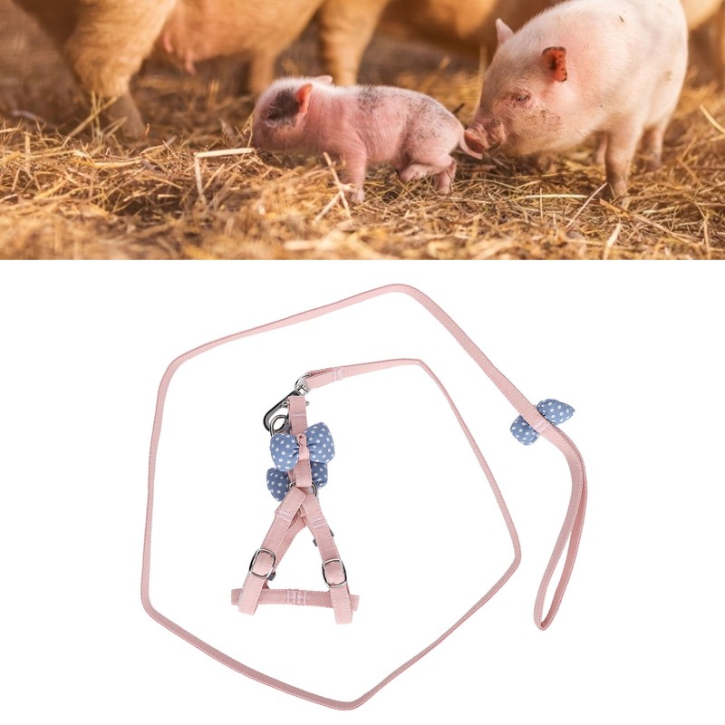Pet Pig Vest Harness with Leash Set EscapeProof Walking Harness