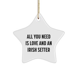 Irish Setter Dog Love and Star Ornament Gifts from Men to Family for Christmas