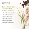 Aura Cacia Clearing Breezeway Fizzy Bath | GC/MS Tested for