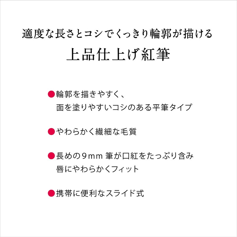 Kiss Me FERME Lip Brush EX 0.2 oz (6 g)