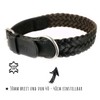 Leather Dog Collar in smooth cow leather in black plaited