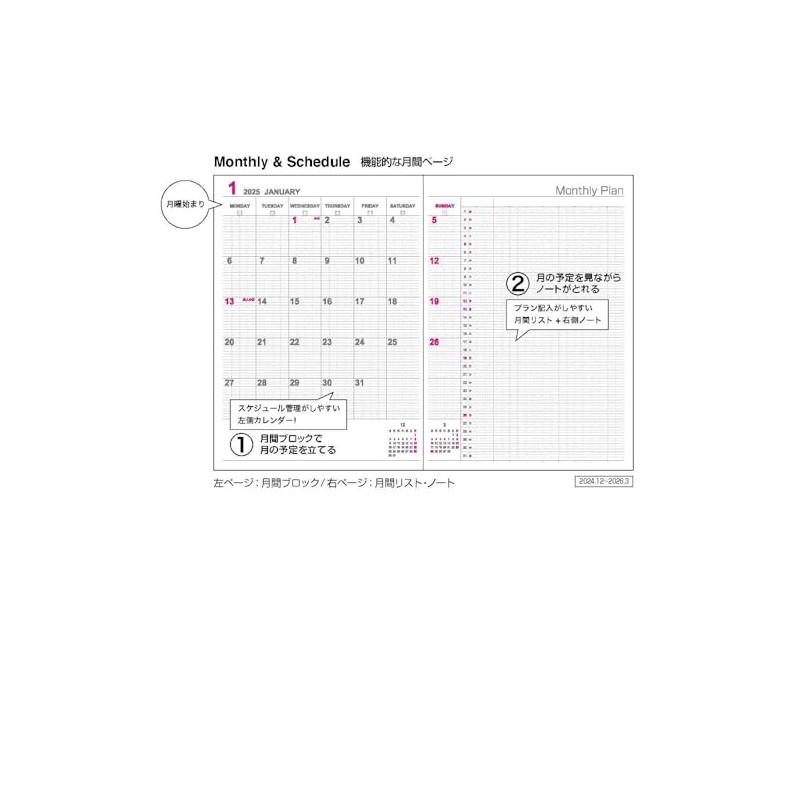Logical Diary 2025 Cover Type/B5/Blue NS-B506-25B