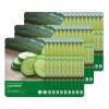 Ricosel 리코셀 네이처 리커버리 마스크팩 오이 23g 30매 Rico Cell Nature Recovery Mask Pack Cucumber 23g 30 Sheets