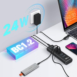 ROSONWAY USB Hub 3.2 Powered 10Gbps 8 in 1 USB Hub Type-C SD/TF Slot, 6 Type A Ports, Aluminum USB Hub with Independent Switch (RSH-A107D)