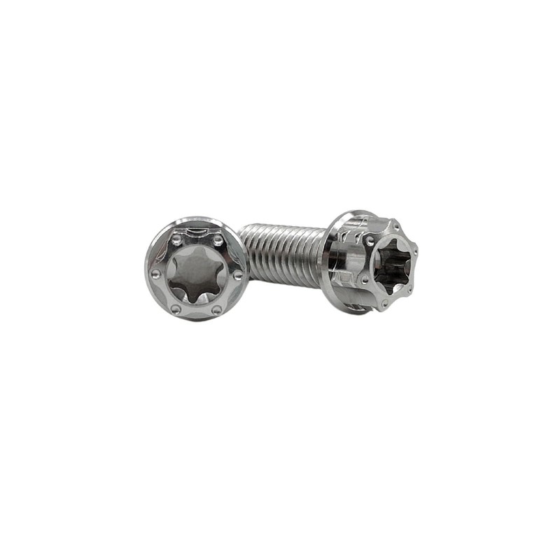 RISON-Titanium Titanium Screws M6 x 1.0 x 16 mm, Pack