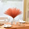 Faylifeway 𝟱𝟬pcs Orange Pampas Grass 𝟭𝟳in, Faux Pampas Grass Home