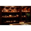 Specialty Lighting Undercabinet, curio display Light-20W Black w/10' Power Cord
