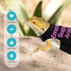 Bearded Dragon Lizards Clothes with Leash Set - Cute Lizard