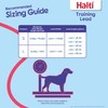HALTI Training Leash - Multifunctional Double-Ended Dog Leash, Ideal for