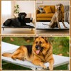 Clysee Self Warming Dog Bed Self Heated Mat Medium Large