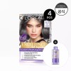 Excellence 엑셀랑스 애쉬 슈프림 4개 (증)본드리페어 프리 트리트먼트 100ml [3.9.11호]