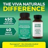 Pycnogenol 100mg from French Maritime Pine Bark Extract - Great