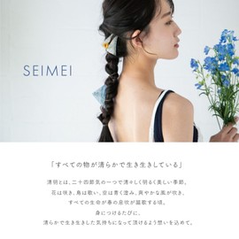 Pinzas para el pelo, clip Vance, (SEIMEI), hecho en Japón, clip para el pelo, clip de plátano, accesorio para el pelo, adorno para el cabello, para mujer, para niña, pinzas para el pelo grueso (clip triangular amarillo)