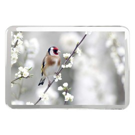 1 x Fridge Magnet -Goldfinch Bird Classic Fridge Magnet - Wildlife Birds Flower Animal #15679