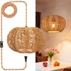 Eqquorva Hanging Lights with Plug in Cord Rattan Hanging Lamp