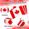 AUGSHY 22Pcs Canada Handheld Flags,14 x 21 cm Small Canadian