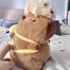 Ditucu Cute Capybara Plush with Bee Backpack Kawaii Capibara Stuffed