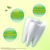 Darlie [Value Bundle] DARLIE Double Action Freshness Toothpaste (assorted) 250g/200g/180g/160g