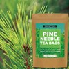 Pine Needle Tea Bags, 40 Teabags, Pine Needles Herbal Tea