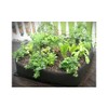 4 ft X 4 ft Victory 8 EZ-GRO Raised Garden