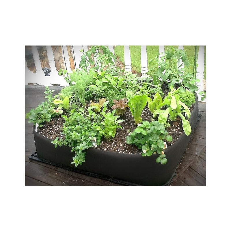 4 ft X 4 ft Victory 8 EZ-GRO Raised Garden