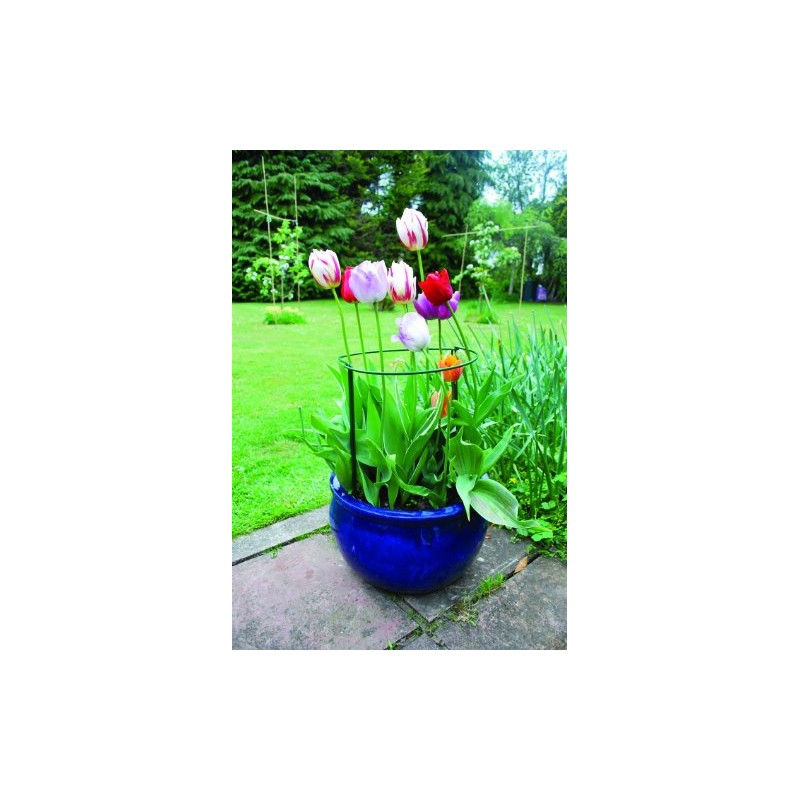 Gardman 7436 Plant Bows semicircular, 35 cm x 20 cm,