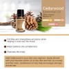 Cedarwood Essential Oil 15ml