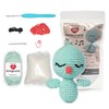 Red Heart Amigurumi Chirp The Bird Kit