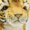 HANSA TIGER BH8169 HANSA Tea Utility Plush Tiger Head Cover