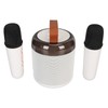 Wireless Karaoke Speakers RGB Light Bluetooth5.3 Speaker with 2 Wireless