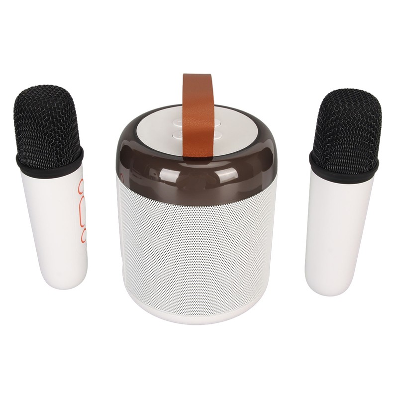 Wireless Karaoke Speakers RGB Light Bluetooth5.3 Speaker with 2 Wireless
