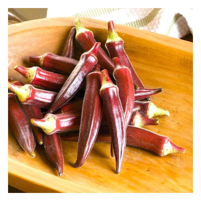 Okra Red 20+ Seeds for Planting Non-GMO Gumbo Lady's Finger