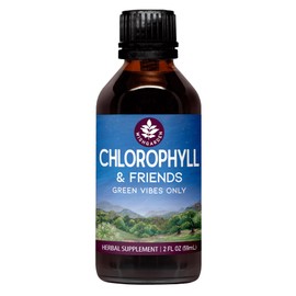 WishGarden Herbs Chlorophyll & Friends - Chlorophyll Liquid Drops with Nettle Leaf, Holy Basil, Moringa Leaf & Peppermint Leaf, Supports Increased Energy, Healthy Immune, & Stress Response, 2oz