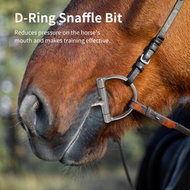 Anjetan Stainless Steel D-Ring Snaffle Bit, Horse Mouth Bit with Copper Roller, Flexible Central Joint, Ideal for Training and Control, Western Training Bit for Horses