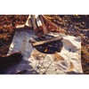 Coleman(コールマン) Campfire Sheet Fire Place Sheet Approximately 80×80cm Outdoor Camping