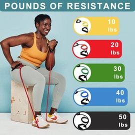 Resistance Bands with Handles, Single Resistance Bands, Exercise Bands with Handles, for Resistance Training, Physical Therapy, Home Workouts, Fitness, Pilates, Boxing Strength Training (30lbs)