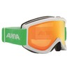 Alpina Smash 2.0 DH unisex adult ski goggles