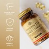 Solgar Vitamin D3 (Cholecalciferol) 25 mcg (1000 IU) - 100