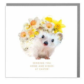 Sending You Hogs And Kisses This Easter - Hedgehog - Easter Card with Grey Envelope by Lola Design