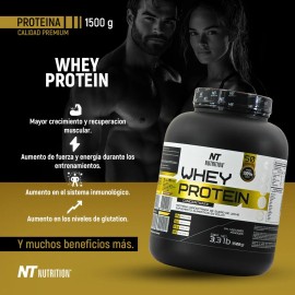 Proteina Premium 100% Whey Protein 100 Scoops Nt Nutrition Sabor Vainilla