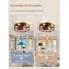 Curve Curio 18 Inch Farmhouse Caged Ceiling Fan with Light,