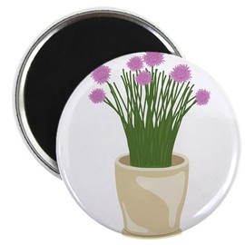 CafePress Potted Chive Plant Magnets 2.25" Round Button Magnet (10 pack)
