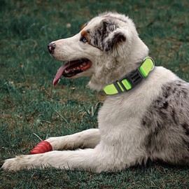 BVEOYPET Reflective Dog Collar for Medium Large Dogs, Adjustable Nylon Dog Collar with Quick Release Buckle (Fluorescent Green)